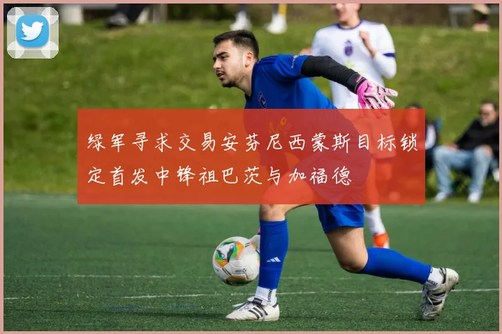 绿军寻求交易安芬尼西蒙斯目标锁定首发中锋祖巴茨与加福德